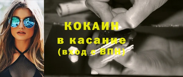 гидра Вязьма