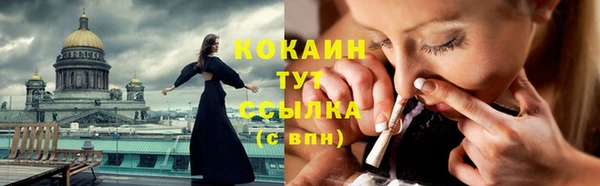гидра Вязьма