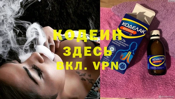 гидра Вязьма