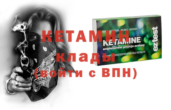 гидра Вязьма