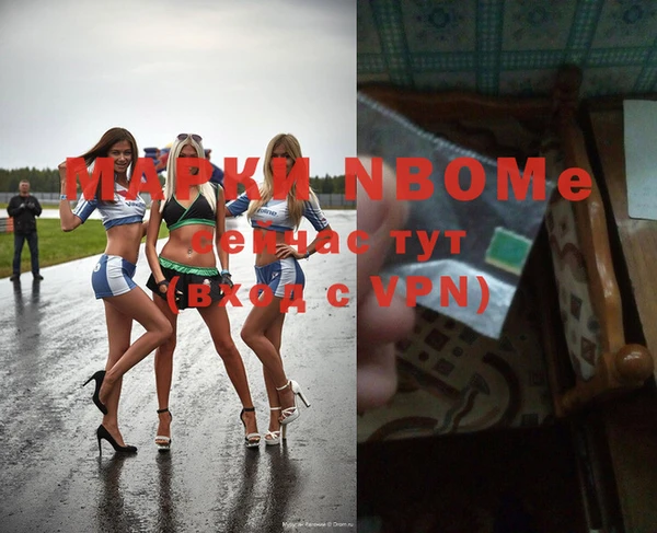 шишки Покачи