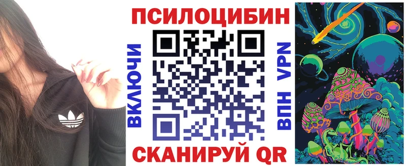 мориарти Telegram Дмитров Псилоцибиновые грибы мухоморы